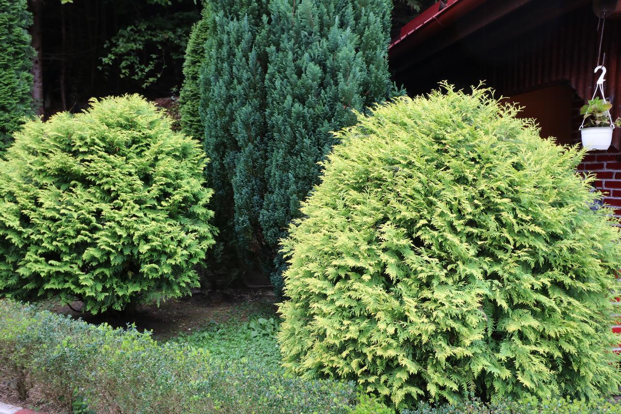 Pensiunea Baroc Sibiu Exterior photo